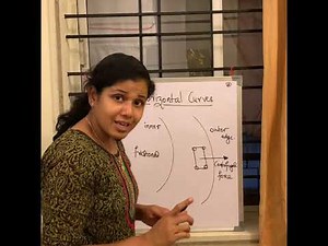 Highway Enginnering - Horizontal Curves - by Reashma PS