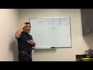 Autonomic Nervous System in Neuro-ophthalmology