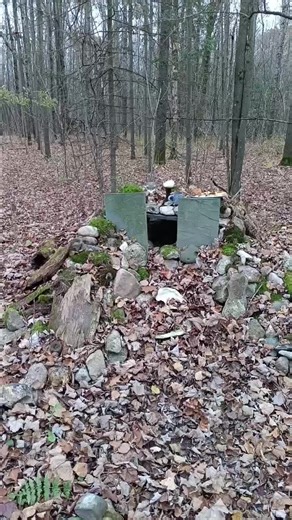 Ancestor Shrine at Deeply Rooted Pagan Sanctuary #pagan #heathen #deeplyrootedpaganchurch #deeplyrooted #samhain