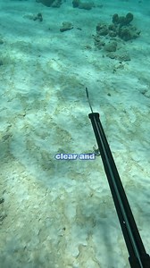 258K views · 3.1K reactions | Apex Predator took my catch! | Kaisda TV | Facebook