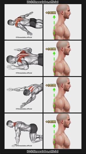 𝗙𝗜𝗧𝗡𝗘𝗦𝗦𝗟𝗔𝗕𝗢 | ✅ How to Fix Bad Shoulder Posture ① Lying Prone A ② Lying Prone W ③ Lying Prone Y ④ Kneeling Neck Extension 3 sets 15-20 reps #fitness... | Instagram
