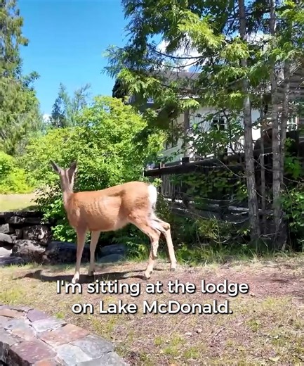56K views · 1.9K reactions | Discovering hidden gems in Glacier National Park | Her Two Wheels | Facebook