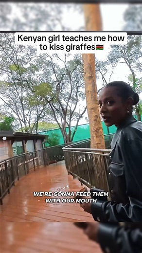 71K views · 997 reactions | This is how you kiss a Giraffe | Luke Damant | Facebook