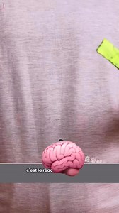 #Tu veux donc un protocole scientifique complet d’une expérience. Voici un exemple clair et structuré dans le domaine de la physique (pression de l’air), facile à réaliser chez soi ou en classe.👁️ | Djitte Abdoulahad