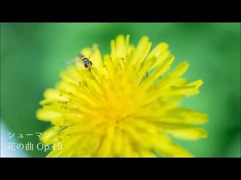 ～春の歌～ 春爛漫クラシック・メドレー（ピアノ＆歌曲編）