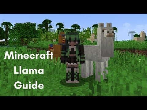 A Quick Guide to Minecraft Llamas