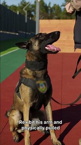 This Dog Bit His Own Handler It Saved His Life