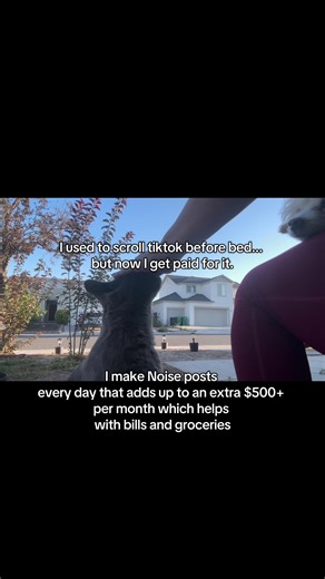 wished I started this side hustle sooner #sidegigs #sidehustlesthatwork #creatorsearchinsights #noise #lunaamor