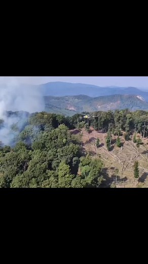 Military Helicopter Fighting Forest Fires