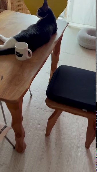 松居直美こんにちは