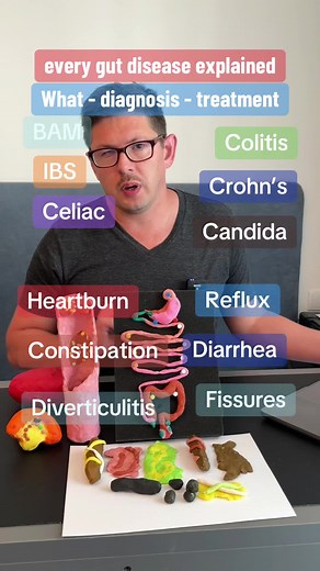 Understanding Gut Diseases: Diagnosis and Treatment Explained