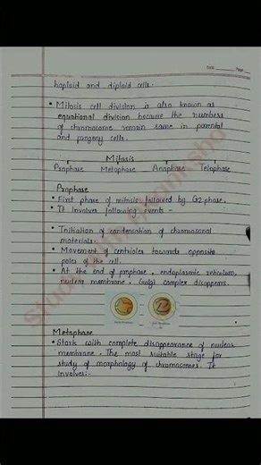 Class 11 Biology | Cell cycle and cell division handwritten notes | NCERT | CBSE | NEET | BSEB | JEE