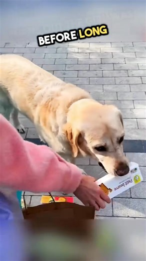 19K views · 1.9K reactions | He made this pregnant lady do this#funny #fyp #viral #asmr #made #pregnant #lady | Archer Shaw | Facebook