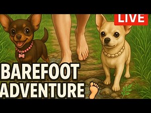 Barefoot Trail Walk with My Chihuahuas 🐾 | Relaxing Nature Livestream