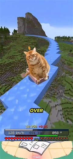 Minecraft SPEEDRUN But the Player Is a CAT #cat #cats #minecraft