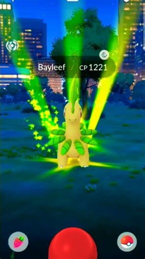 "Is Bayleef the best Grass-type? 🌿 Pokémon GO Catch!"