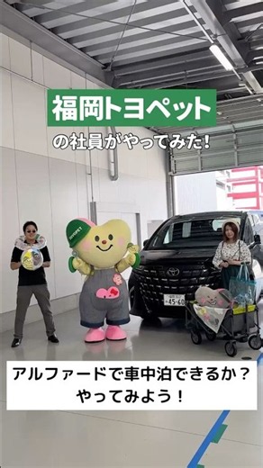 新型アルファードで車中泊できる!?トヨピーが寝れるか本気で検証！ #トヨタ #アルファード #ミニバン