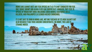 5 of the Weirdest Lakes in America