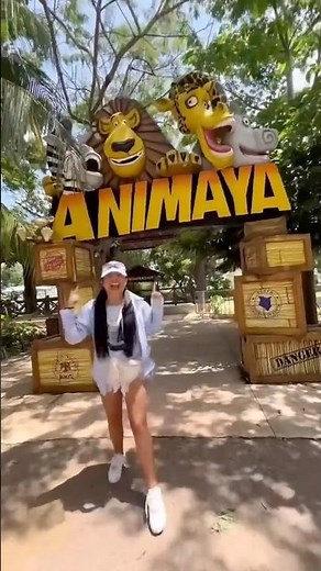 A tiger escapes from the zoo 😱