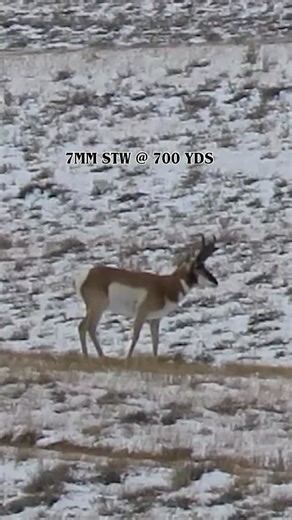 Erik Van Woerkom on Instagram: "Drop your go-to hunting caliber/cartridge in the comments."