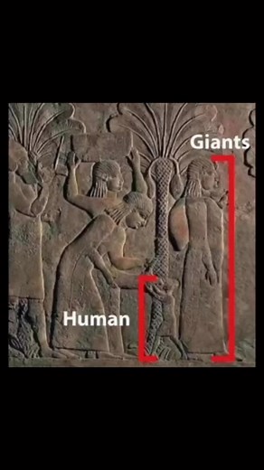 173K views · 4.6K reactions | SIGA Unexplained Mysteries . . . . . . . . . #mundoufos #ufologia #ufo #ufos #alien #area51 #aliens #ufology #extraterrestre #extraterrestres #reelsfb #SpaceX #paranormal #universo #fyp #reels #viral #trending #OMG #extraterrestrial #arqueologia #life #mufon #ufosighting #ufosightings #extraterrestrials #annunakihistory #annunnaki #ufofiles #ufotattoo #ovnis #roswell #alienabduction #secretfiles | Unexplained Mysteries | Facebook