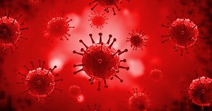 Bacteria caught changing shape to evade antibiotics