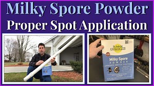 Watch Apply Milky Spore Powder to Eliminate Grubs & Ground Moles on Amazon Live