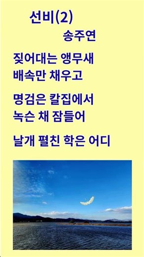 지금 꼭 봐야 할 인생 메시지 | 디카시 : 선비2 #디카시 ##인생 #선비2 #가치 #위로 #감성시