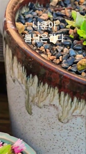 Na Hoon-a's Spring Days Are Gone, Wild Cottonweed