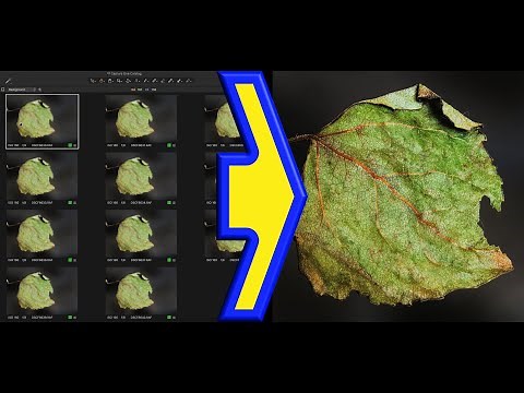 Focus Stacking/Merging mit Capture One und Affinity Photo - Tutorial (Deutsch, 4K)