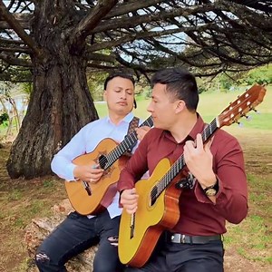 448K views · 10K reactions | Julio Jaramillo estaría orgulloso de escuchar esto. | Pasillos inolvidables by Juan Ronquillodj | Facebook