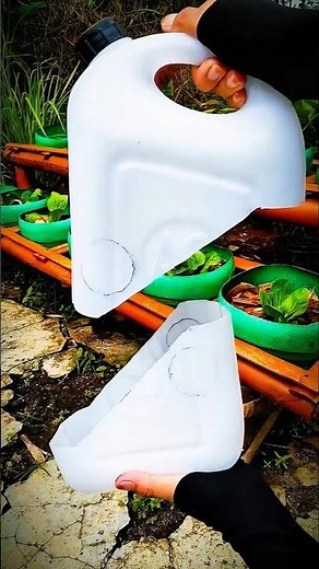 🌱Don’t Throw It Away! Turn a Used Plastic Jerrycan into a Smart Plant Pot 🌱