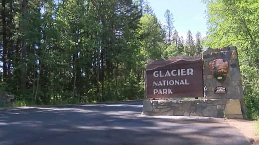 Hiker injured by bear in Glacier National Park