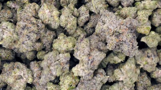 Bananaconda THCA Flower