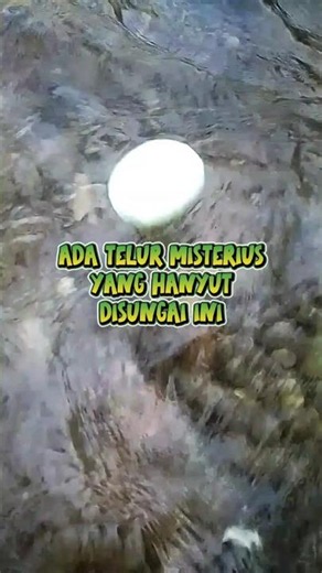 Mysterious eggs in the river #adventure