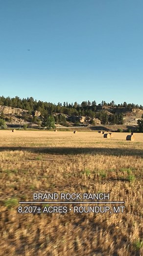 | PRICE REDUCED | Brand Rock Ranch . . . Brand Rock Ranch is comprised of Musselshell River bottomland, diverse landscapes, ample grazing, and winter feed production, along with a barn and small feedlot. This combination of agricultural production, upland birds, waterfowl, and trophy elk hunting coupled with other species, is hard to match in Montana. 8,207 deeded acres | $17,000,000 📍Roundup, MT https://na2.hubs.ly/H021_9H0 | Hall and Hall