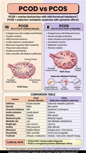 PCOD vs PCOS | Difference, Symptoms, Causes & Treatment Explained