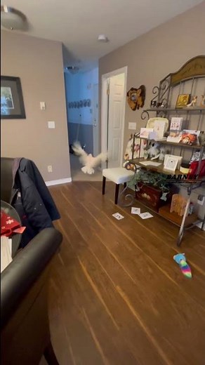 Barney can fly! Go Barney! Two new videos every day. Subscribe! It’s fun!