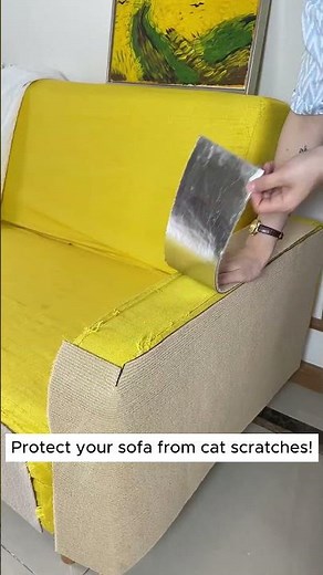 Protect Your Sofa from Cat Claws – Shield for Furniture