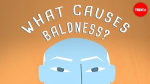 Why do some people lose their hair? And can science help bring it back? | TED-Ed