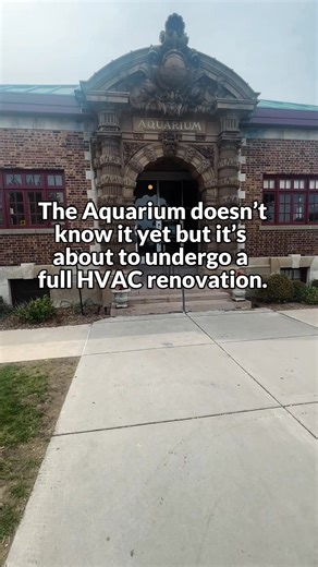 627K views · 9.8K reactions | Big things happening at the Belle Isle...