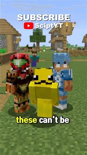 The Rarest Minecraft Username