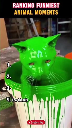 Ranking The Funniest Animal Moments #viral #Shorts