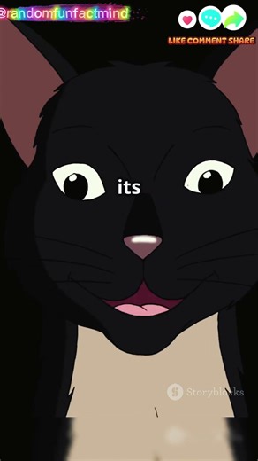 Cats Can Talk?! 🐱 Understanding Cat Sounds | Fun Animal Fact #Shorts