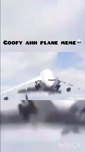 Goofy ahh plane meme #averageavgeek
