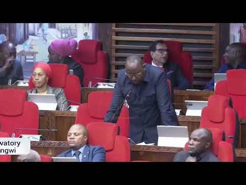 MBUNGE SALVATORY WA MISUNGWI ALIVYOIBANA SERIALI UJENZI UJENZI WA BARABBARA YA MWANANGWA KWA KIWANGO