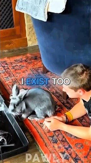 Bunny Steals Phone for Attention 🐰📱❤️ #shorts #pets #bunny #petvideos #funnymoments #funny