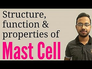 MAST CELL structure function & properties | immunology mast cell | inflammatory response | allergy
