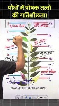 Nutrient mobility in plants