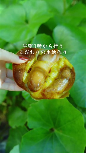 高加水パンが最高に美味しい！